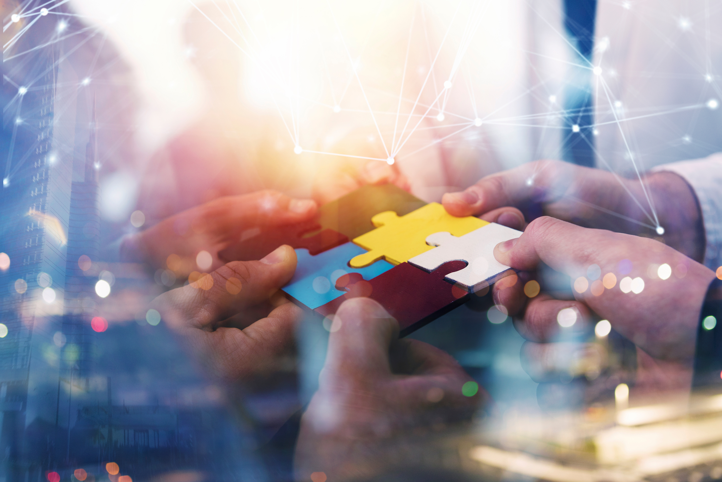 Integration & Configuration Services